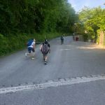 Thumbnail Img 1310