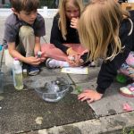 thumbnail_img_7259