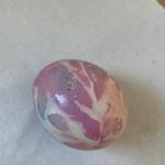 Thumbnail Img 0565
