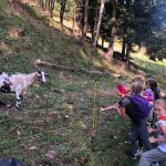 thumbnail_img_8105