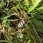 thumbnail_img_8124