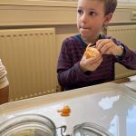 Img 7631